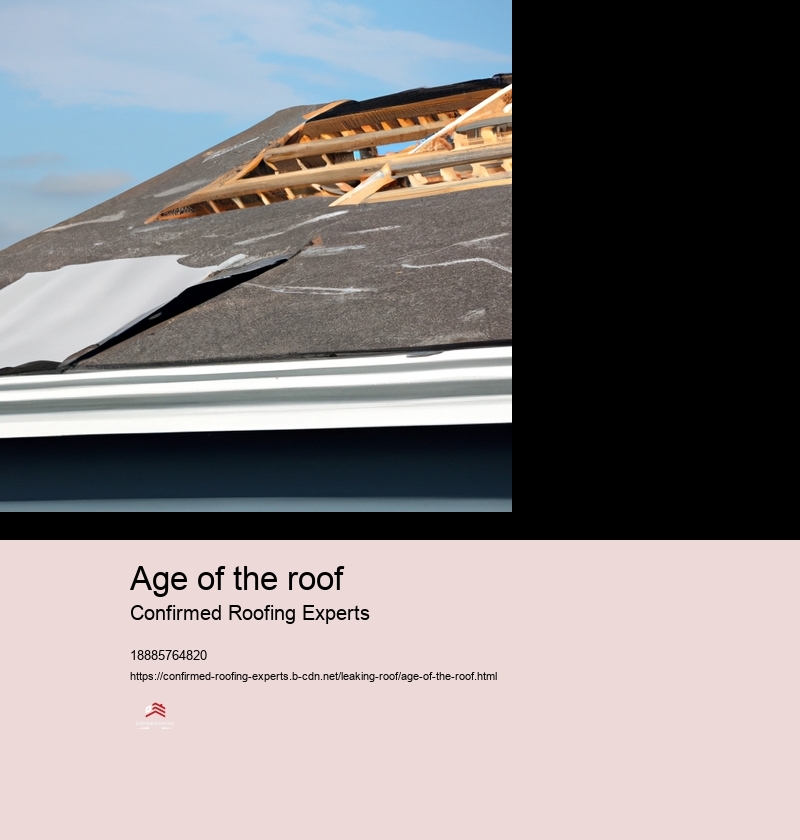 Age of the roof