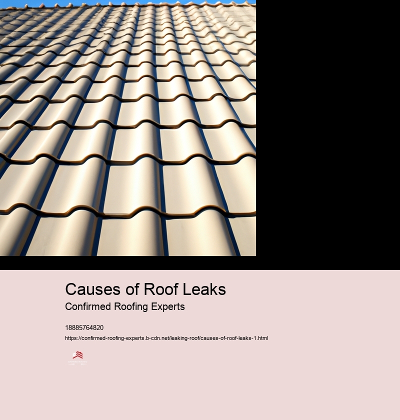 Causes of Roof Leaks