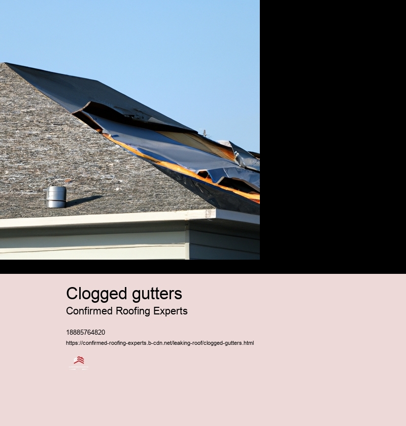 Clogged gutters