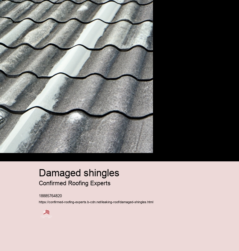 Damaged shingles