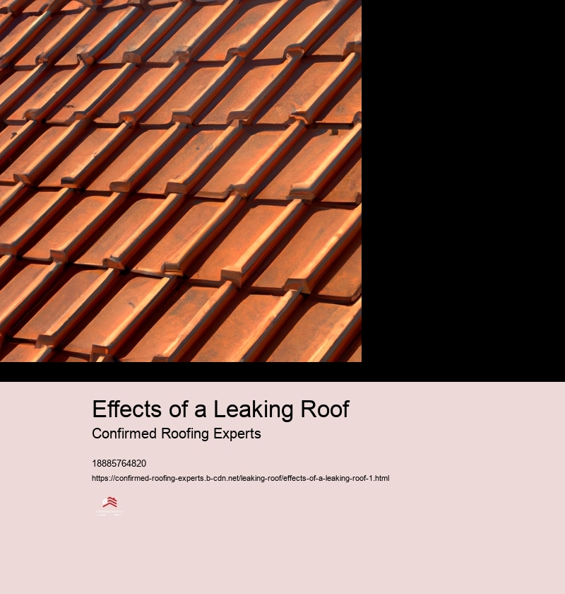 Effects of a Leaking Roof