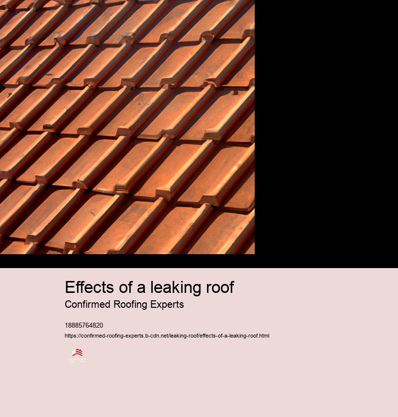 Effects of a leaking roof