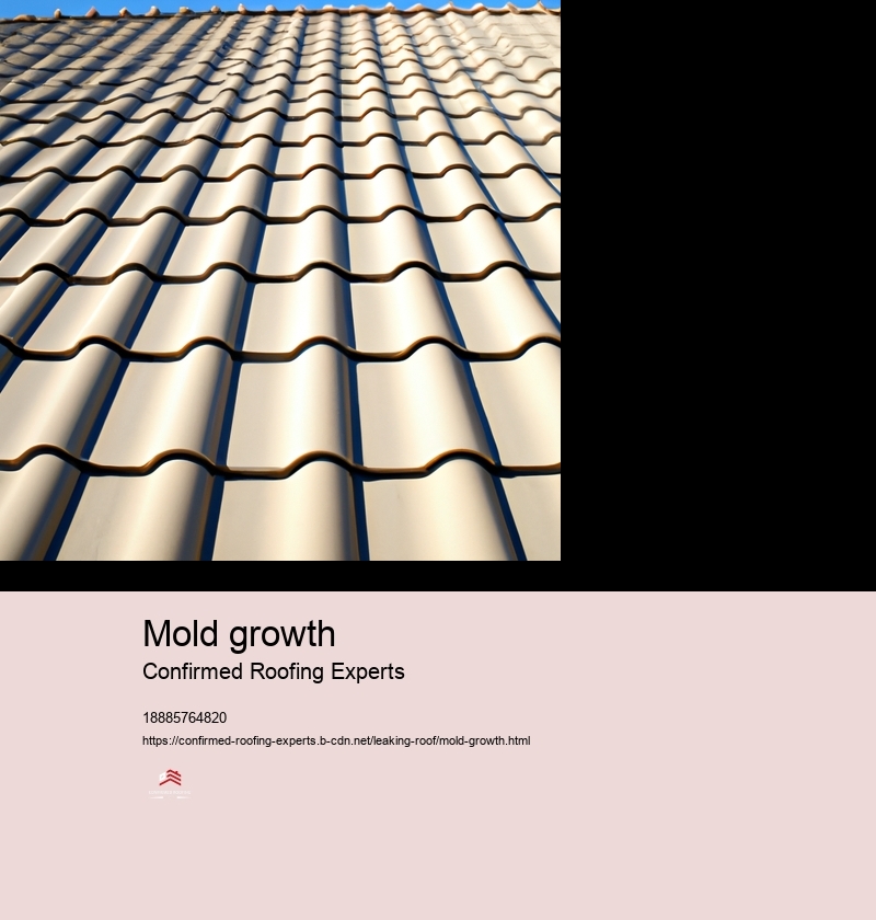 Mold growth
